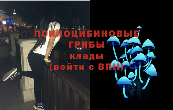 дурь Надым