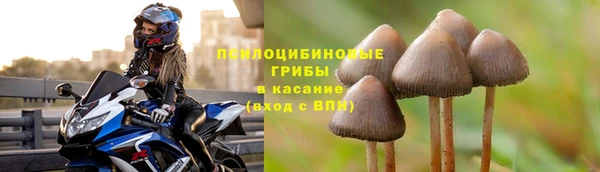 дурь Надым