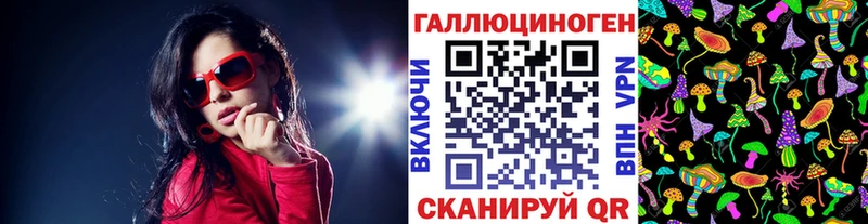 Псилоцибиновые грибы Psilocybine cubensis  Елабуга 