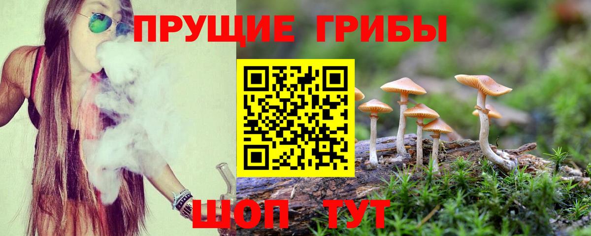 Галлюциногенные грибы прущие грибы  Галлюциногенные грибы ЛСД  Вход с VPN  где продают   Елабуга 